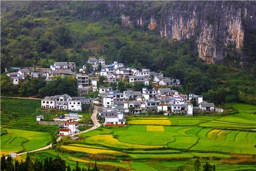 土地流轉(zhuǎn)補(bǔ)償相關(guān)政策2021-攝圖網(wǎng)